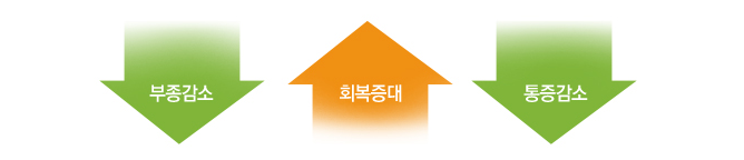 이미지명